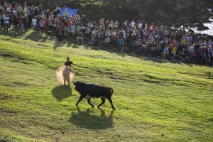 Tourada à corda na Ilha Terceira